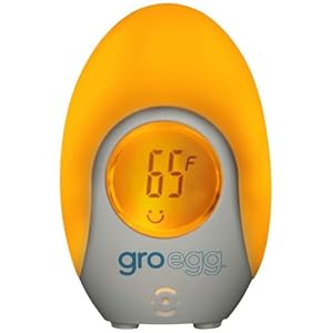Gro-Egg Room Thermometer