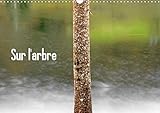 Sur l'arbre 2020: L'arbre, element architectural de nos paysages naturels. (Calvendo Nature) by 