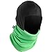 Turtle Fur Shellaclava, Heavyweight Chelonia 150 Fleece Balaclava