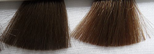 Renaissance Henna Pure Henna Hair Dye The Best Of Both Worlds