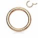 Hinged Seamless WildKlass Jewely Septum Clicker Ring 316L Surgical Steel (Sold Individually) (16GA 8mm Rose Gold)