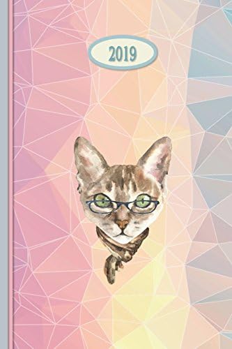 2019 Planner - Rainbow Cat: 6 x 9 Daily | Weekly | Monthly | Annual Organizer Scheduler with Contacts & Passwords & Birthdays (2019 weekly planner organizer diary journal) Paperback โ July 25, 2018