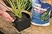 Aquascape Aquatic Plant Pots for Pond and Water Garden, 8-inch x 6-inch, Black, 2-Pack | 98502