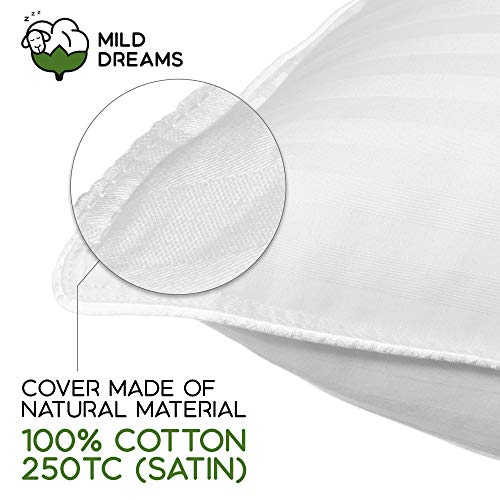 Pillows Standard Size Set of 2 (20x26 inch) Bed Pillow fo Sleeping 2