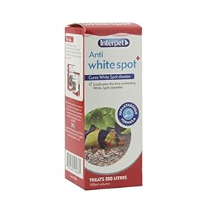 Interpet-Anti-White-Spot-Aquarium-Fish-Treatment-100-ml Interpet Anti White Spot Aquarium Fish Treatment, 100 ml