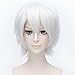 Flovex Short Straight Anime Cosplay Wigs Natural Sexy Costume Party Daily Hair (Silver White)