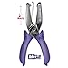 McGill 2-Inch Reach Punchline, 1/4 Inch Ribbon Stitch Hole Punch, Chrome/Purple (MCG53901C)