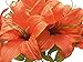 Phoenix Silk Tiger Lily Bush Satin Artificial Flowers 11-8225OR 19