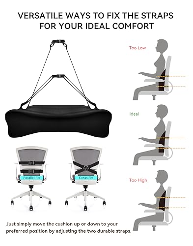 TRAVEL EASE Ergonomic Lumbar Support Cushion, Gel and Memory Foam Back Support Cushion for Office Chairs with Skin-Friendly Cover for Comfort (Black)