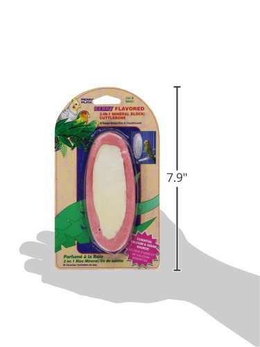 Penn Plax 2-In-1 Mineral Block And Cuttlebone, Berry Flavored, 5-Inch - Thumbnail 3