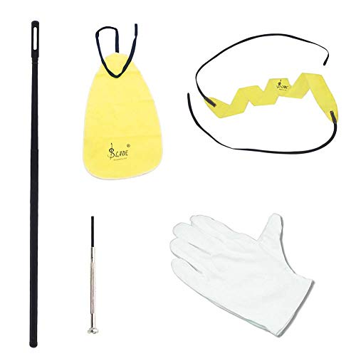 LeSharp Orchestral Instrument,Catkoo 5Pcs/Set Flute Saxophone Cleaning Repair Tools Woodwind Instruments Accessories