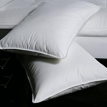 Amazon Com Pacific Coast Double Touch Of Down Pillows 2