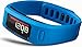 Garmin Vivofit Fitness Band