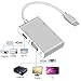 Weton USB Type C to HDMI Adapter, USB C 3.1 to HDMI VGA DVI USB 3.0 Multi Video HUB Converter (Silver)