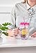 Fun Mason Jar Plastic Cups: Large Break Resistant, BPA Free To-Go Mug with Lid and Handle - Perfect as Party Cups, Kids Travel Cups, Wedding Party Cups (Life is Sweet, Single)