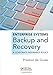 Enterprise Systems Backup and Recovery