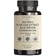 VINATURA Organic Sea Moss, Blue Vervain - with Black Seed Oil, Ashwagandha, Ginger, Burdock Root Capsules - 1250mg per Serving, *USA Made &Tested* Immune Booster for Adults