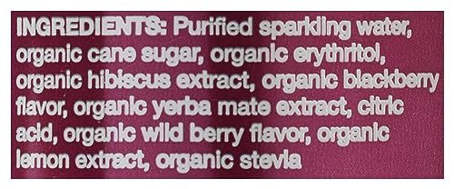 CLEAN CAUSE, YERBA MATE BLACKBERRY ORGANIC, 16 FL OZ