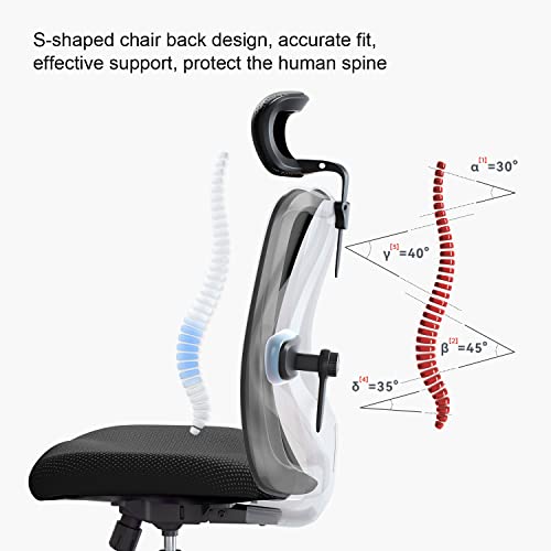 SIHOO M18 Ergonomic Office Chair For Big And Tall People Adjustable Headrest With 2D Armrest 