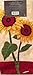 Mastercuisine 2pk Kitchen Towels-Sunflowers