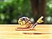 Handmade Snail Art Glass Blown Reptiles Animal Figurine - No.2