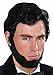 Lincoln Wig and Beard Costume Accessory