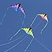 Prism Kite Technology Zenith 5 Single Line Delta Kite