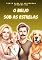 Livro O Beijo Sob as Estrelas: Conto para se Apaixonar