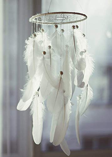 image for Onwon 10 Pieces Metal Ring Metal Hoops Metal Macrame Rings for Dream C