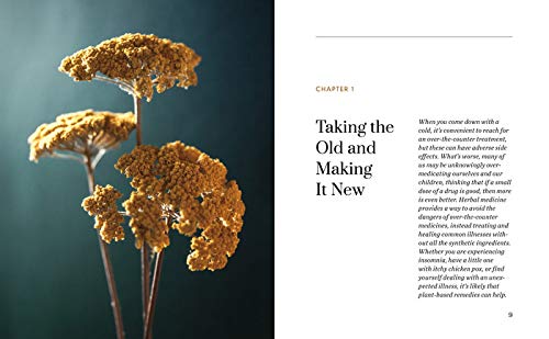 Herbal Medicine Natural Remedies: 150 Herbal Remedies to Heal Common Ailments - Image 5