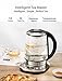 Electric Kettle, Willsence Electric Tea Kettle Stainless Steel Glass Boiler Hot Water Tea Heater with Temperature Control LCD Display, Removable Tea Infuser, 1.7 L, 1200W (Glass)