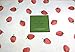 Kate Spade Placemats Strawberries 100% Cotton 13 x 19 4 Pack.