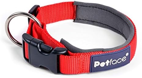 petface dog collar