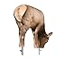 Montana Decoy Miss September Feeding Elk