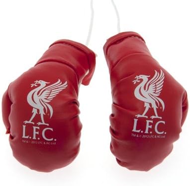 Boxing gloves liverpool Clearance