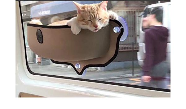 Amazon Com Cat Perch Car Truck Van Window Seat Bed Travel Hammock Suction Cup Pet Supplies