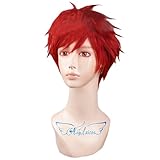 Angelaicos Unisex Layered Boys Cool Halloween Cosplay Costume Party Wig