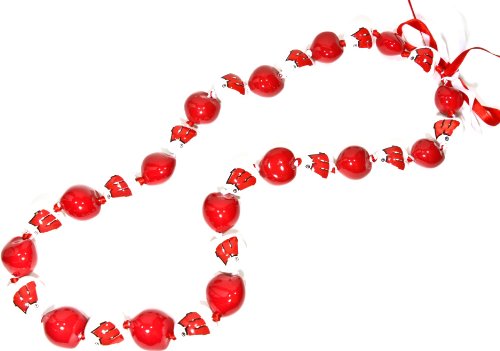 Style Pasifika NCAA Wisconsin Badgers Go Nuts Kukui Nut Lei Necklace