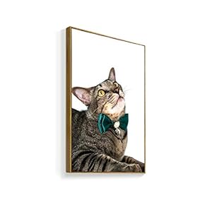 Framed Canvas Wall Art for Living Room, Bedroom Humorous Cat Canvas Prints for Home Decoration Ready to Hanging - 16x24 inches