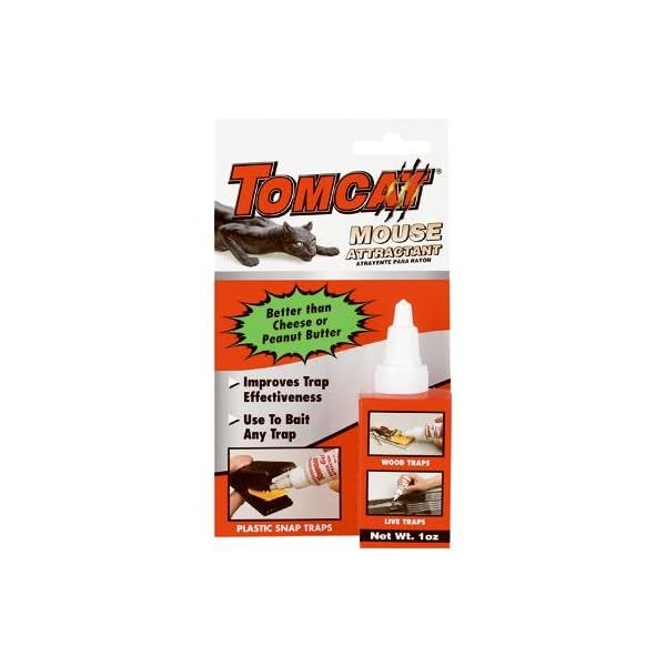Scotts-Tomcat-0362210-Mouse-Attractant-Gel-1-oz