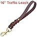 FAIRWIN Leather Short Dog Leash 16