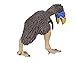 Safari Ltd  Wild Safari Gastornis