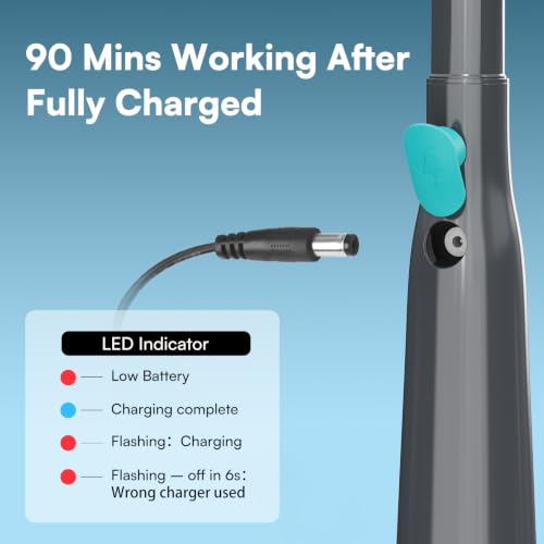 PoolMr Handheld Pool Vacuum for Above Ground Pool & Hot Tub Vacuum, with 2 Brush Heads, 90 Mins Running Time, 13.2 Gallons/Min Powerful Suction, Ideal for Cleaning Debris and Sand Underwater, Black