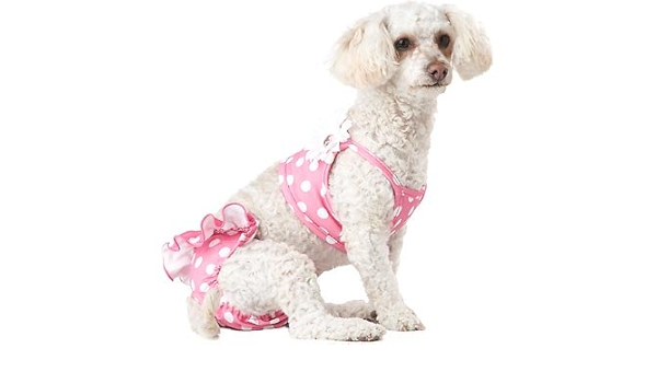 service dog vest petco