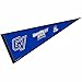 Grand Valley State Pennant Full Size Felt