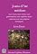 Livro Joana D'arc, Médium