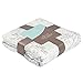 aden + anais silky soft dream blanket; metallic skylight birch