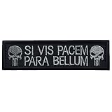 SpaceAuto Punisher SI VIS PACEM PARA BELLUM Tactical Morale Patch 3.74