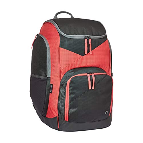 Amazon Basics Sports Backpack Athletic Pricepulse