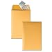 Quality Park 6 x 9 Catalog Mailing Envelopes, Redi-Strip Self Seal Envelope Closure, 28 lb Kraft Paper, 100 per Box (QUA44162)